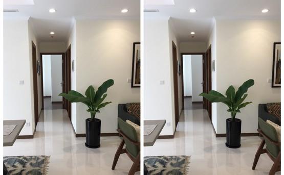 apartment for rent in binh thanh district BT105L2627 (1)